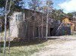 65 Silver Springs Rd, Bailey, CO 80421