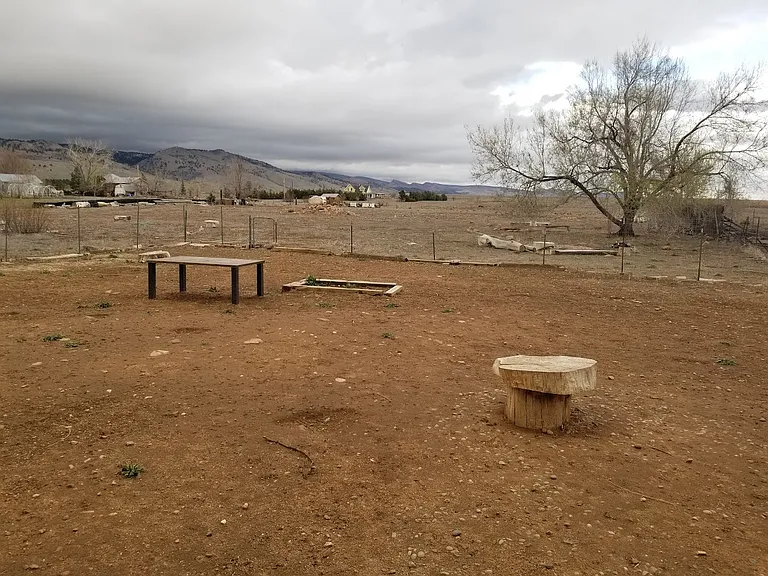 Large backyard