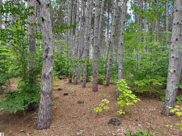 Vl Pine Air Dr #M/b, Grawn, MI 49637