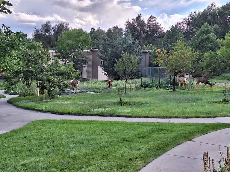 1363 Lindenwood Grv — Photo 12