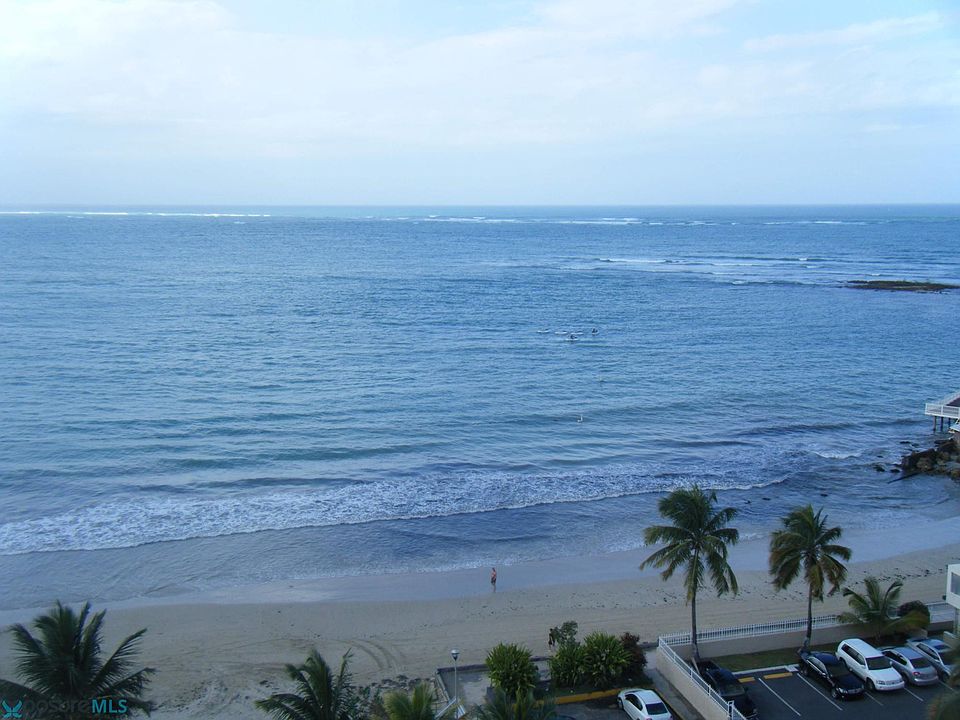 1st image of 9 Gardenia #5