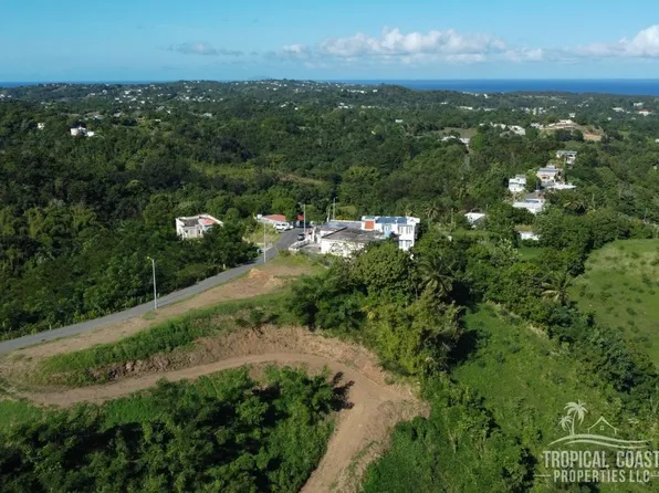 Bo Jaguey Carr 411 Km 4.2 Solar #1, Aguada, PR 00602