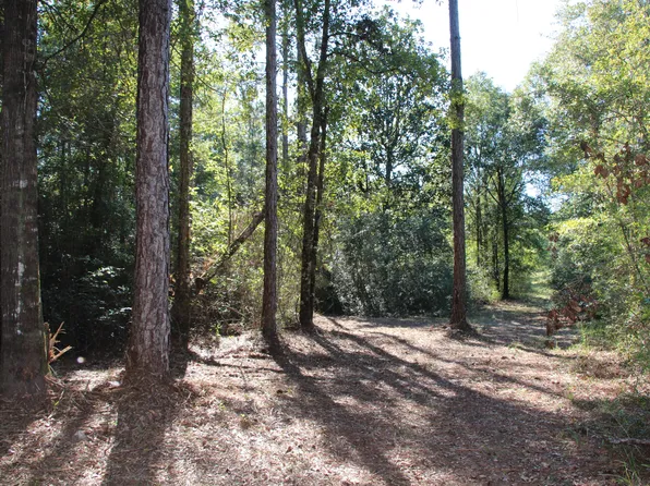 Chapel Rd E, Laurel Hill, FL 32567