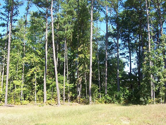 Back Yard View 1