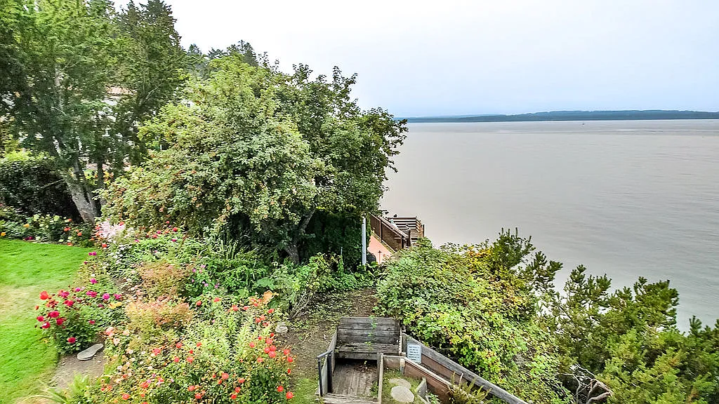 2 bed, 1010 sqft, $12,000 — Photo 3