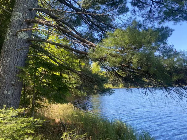 Grace Lake Rd #14 & 13, Watersmeet, MI 49969