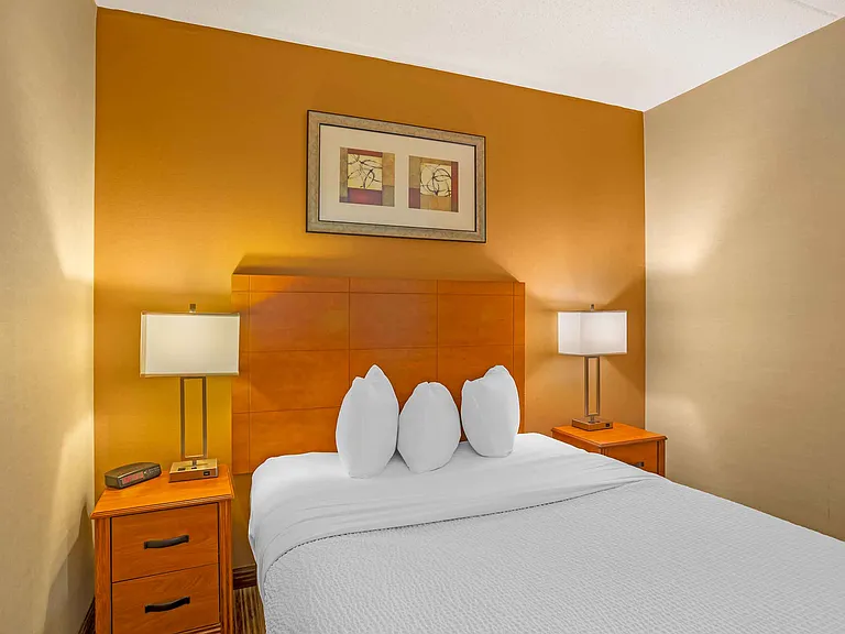Deluxe Studio - 1 Queen Bed