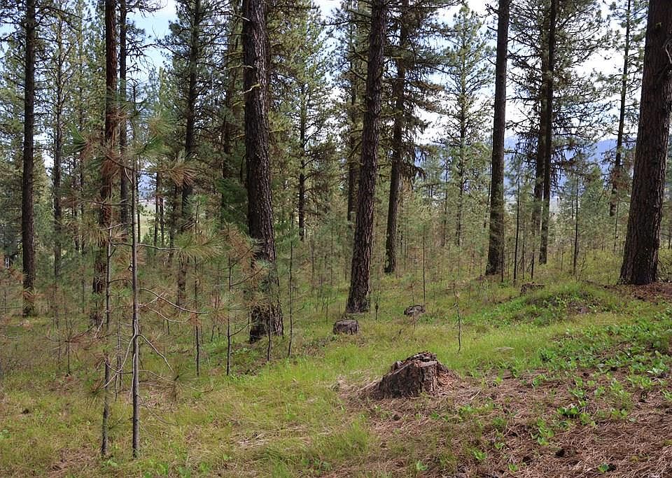 1st image of Tbd Hot Springs Rd