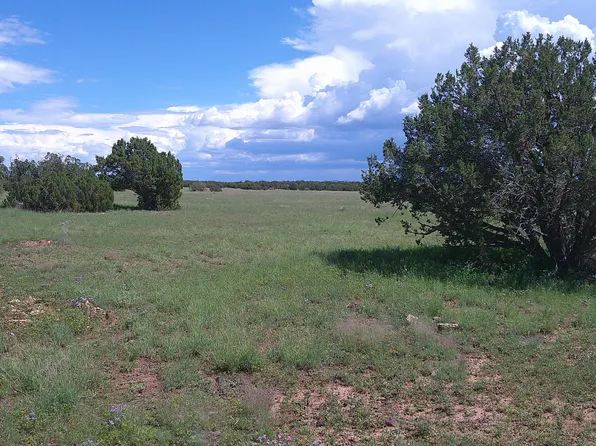 8583 Pine Ln, Show Low, AZ 85901
