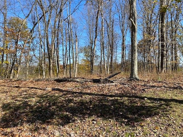 2nd image of 100 Blake Ridge Dr
