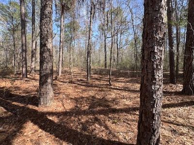 Potter Rd, Opp, AL, 36467