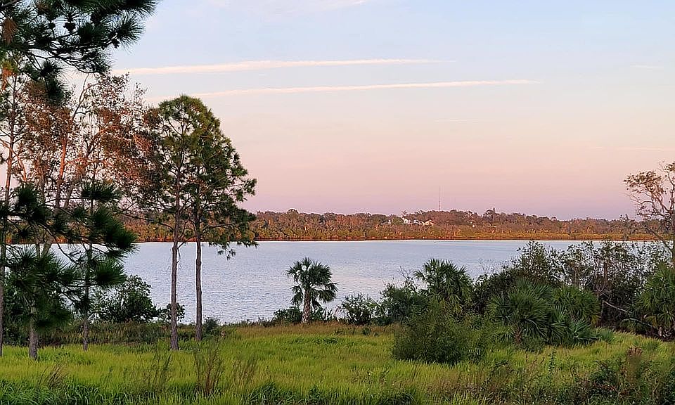 View from back porch