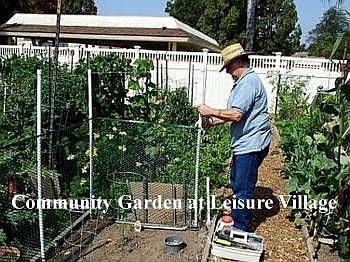 4th image of 22217 Village 22