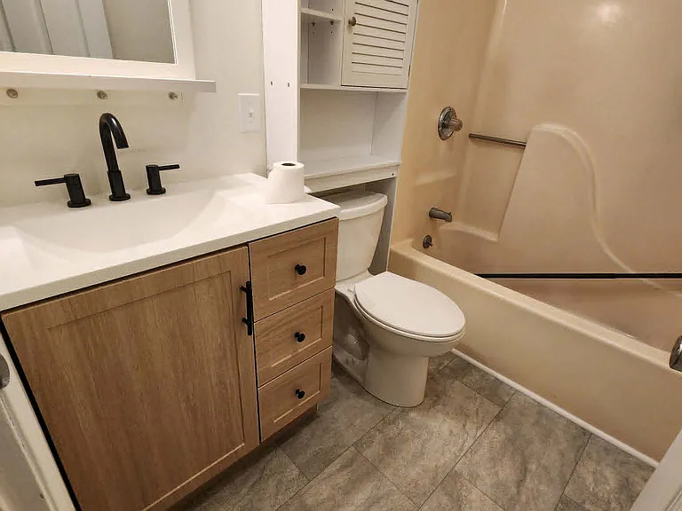 Bathroom - new flooring, vanity, and faucet