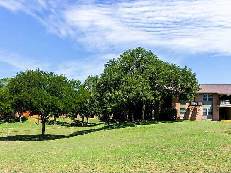 7203 S Great Trinity Forest Way #7203-75217RID — Photo 5
