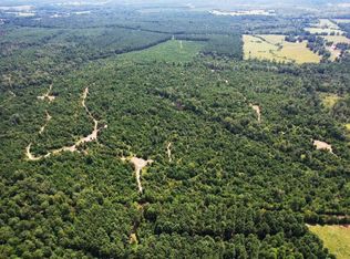 County Road 3163 S, Laneville, TX 75667