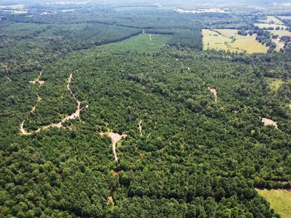 County Road 3163 S, Laneville, TX 75667