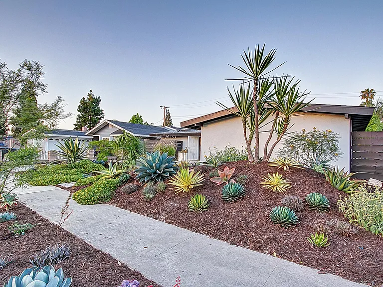 Beautiful succulent garden.