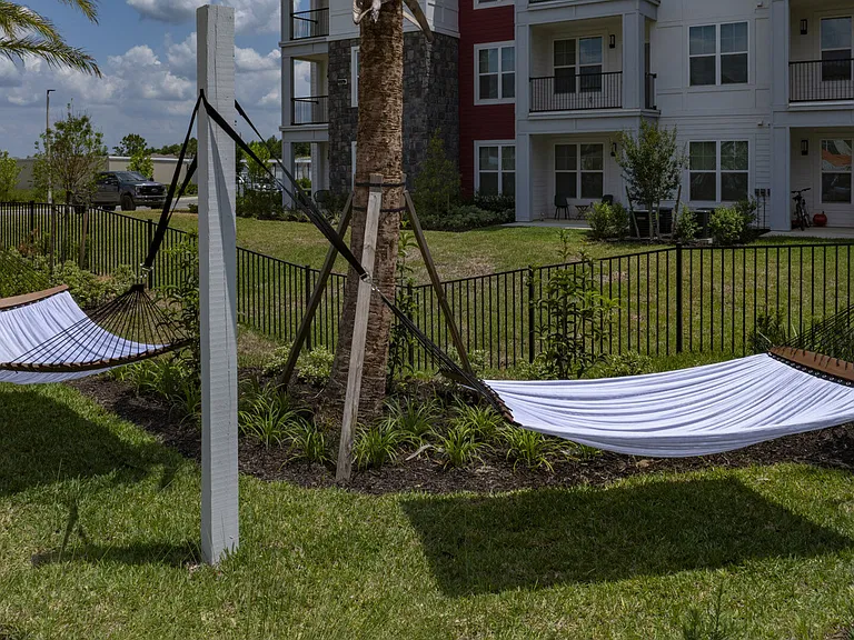 Ilumina Zephyrhills — Photo 26