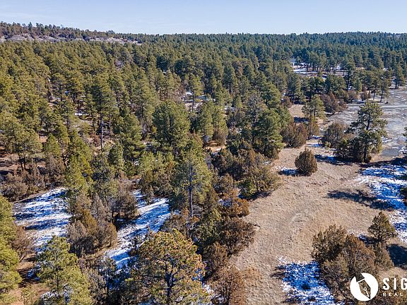 2nd image of Coyote Dr