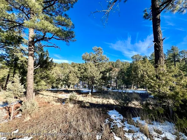 154 Del Monte Dr, Alto, NM 88312
