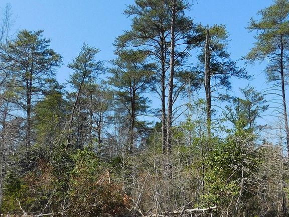 2nd image of 35-81 Stoney Knoll Rd