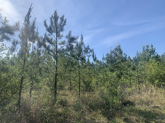 4th image of Munson Hwy