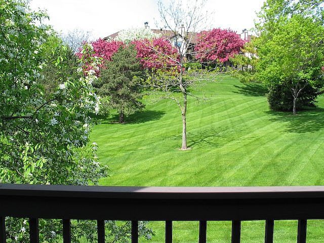 View from this unit--gorgeous!