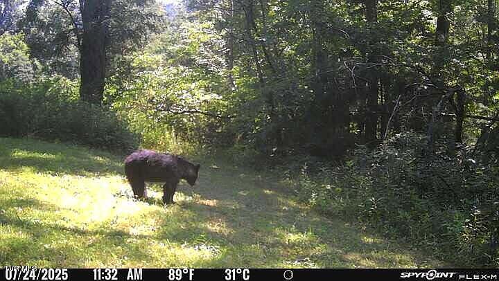 97th image of this home