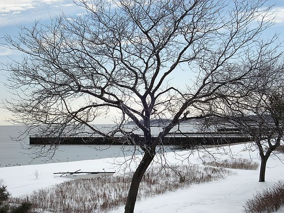 Winter View From Bedroom