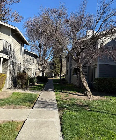 Tracy Park — Photo 38
