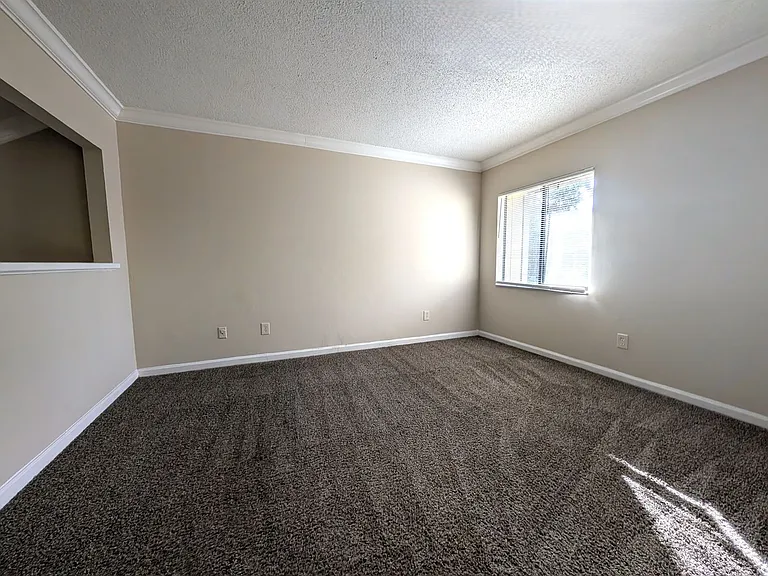 8538 Pineverde Ln — Photo 10