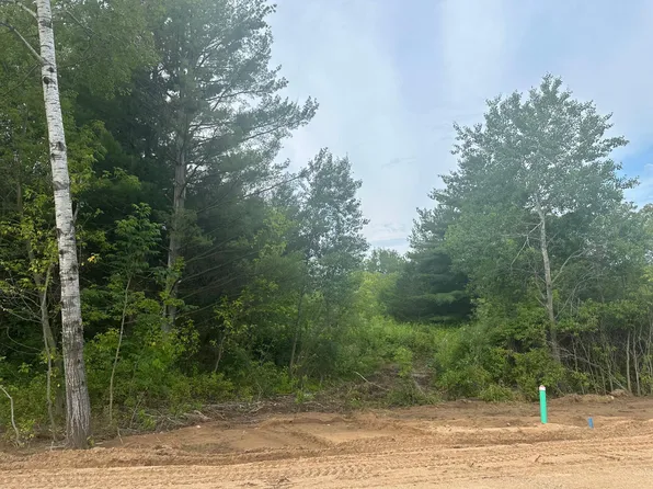 LOT 12 Brummer Dr, Randall, MN 56475