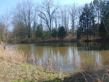 2nd image of 279 County Road 3185