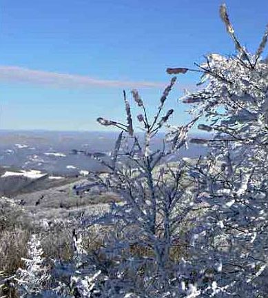 View from scenic overlook