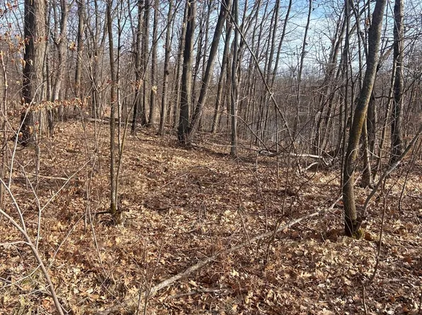 Norway Trl, Cushing, MN 56443