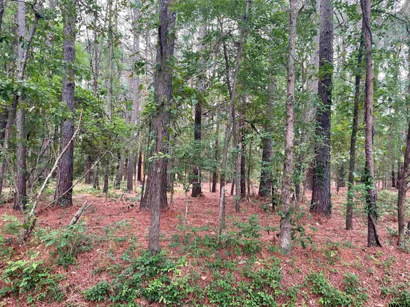 20312 County Road 4106 Lot 13, Lindale, TX 75771