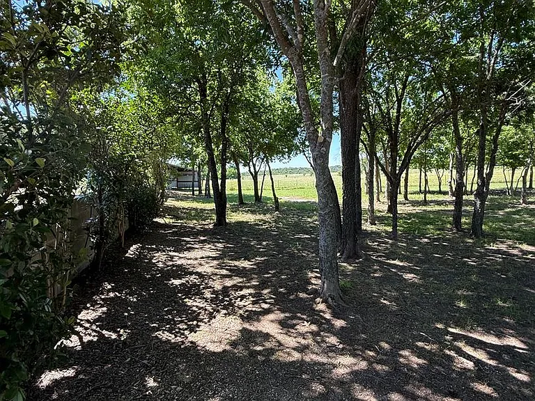 8033 Lax Dr — Photo 5