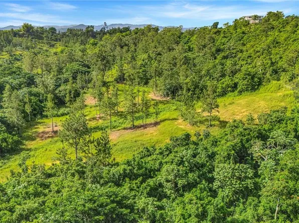 63 SECTOR MONTICELLO, CIDRA, PR 00739