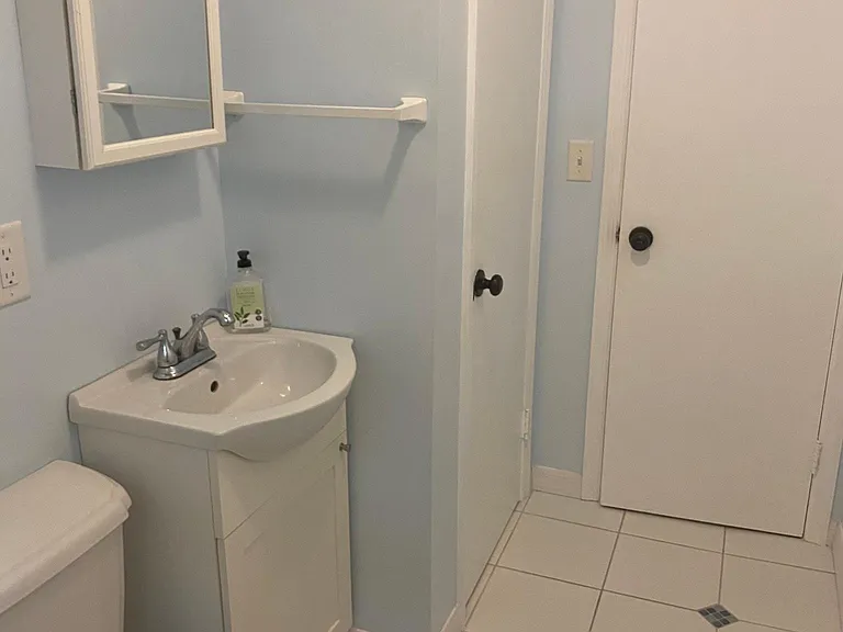 Downstairs bathroom and shower