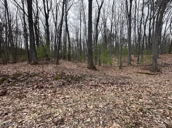 801 & 802 Cherry Dr, Roscommon, MI 48653