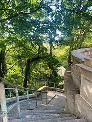 Rented by Platinum Properties