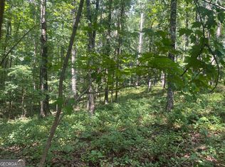 Henry Scott Rd, Ball Ground, GA 30107