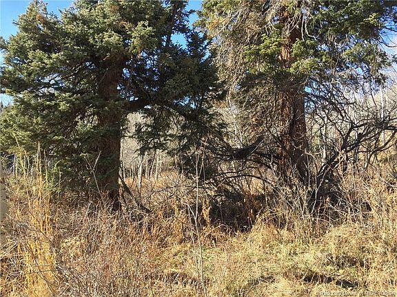 5th image of 1112 W Elk #D-47
