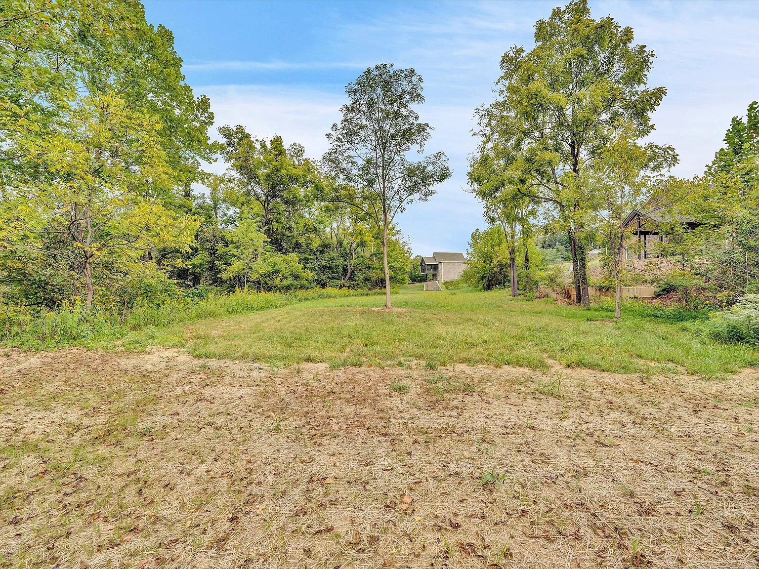 4 bed, 3.0 bath, 2250 sqft, $3,595 — Photo 4