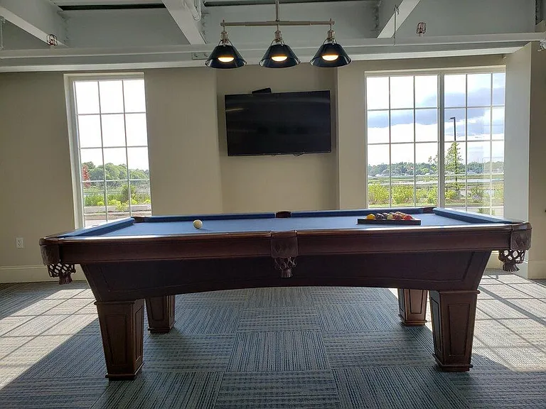 The Residences at 99 Water — Photo 29