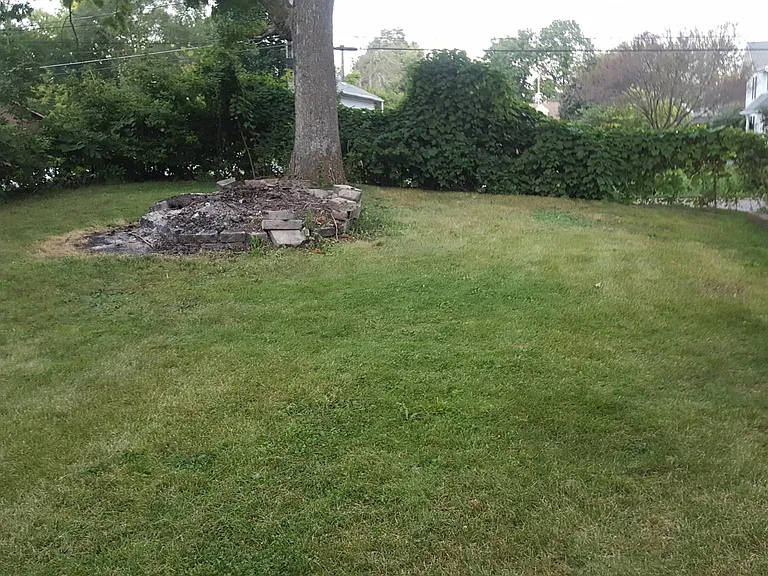 other part of backyard