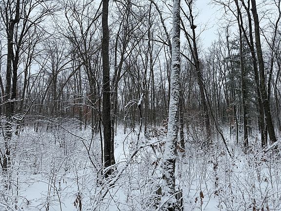 5th image of Steinberg Rd