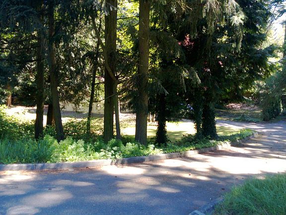 Huge lot for circular drive 