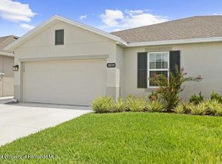 18119 Turning Leaf Cir, Land O Lakes, FL 34638